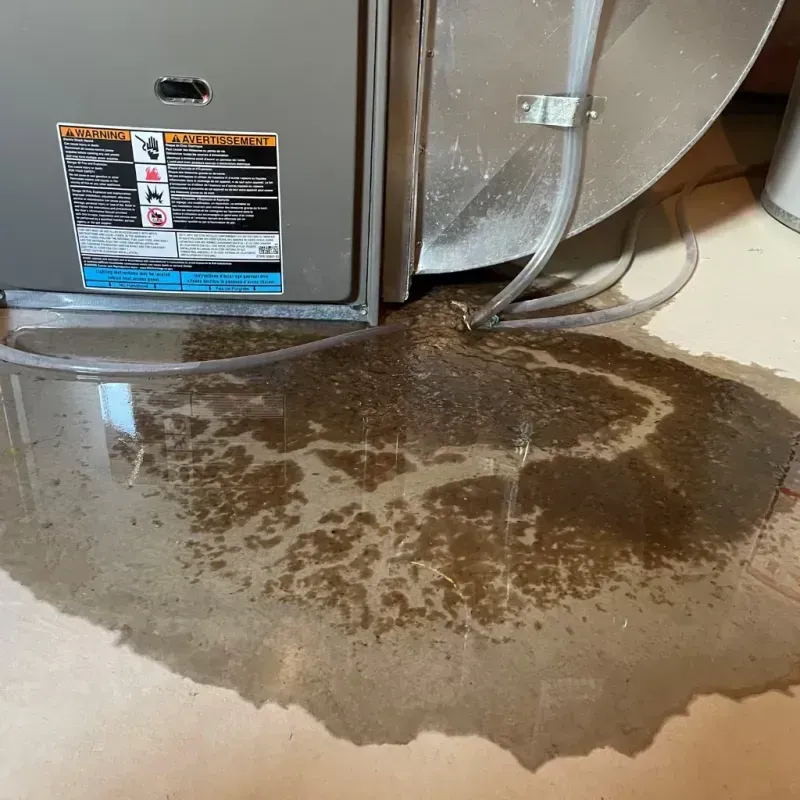 Appliance Leak Cleanup in Kamiah, ID